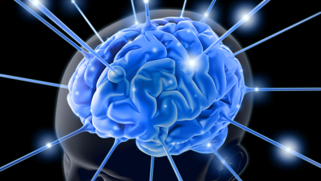 brain Neuron