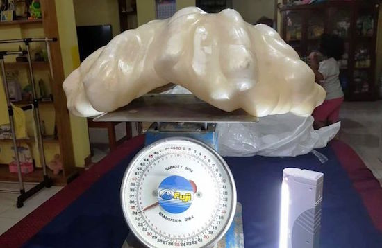 Largest Pearl
