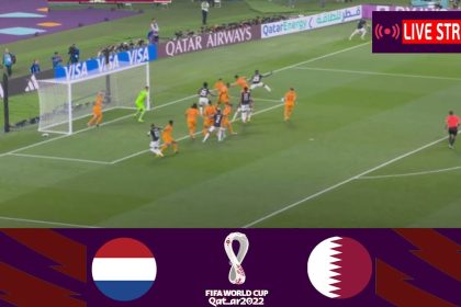 Netherlands vs Qatar, FIFA World Cup 2022