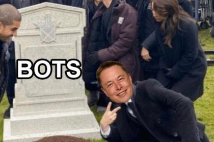 Elon Twitter Bots.