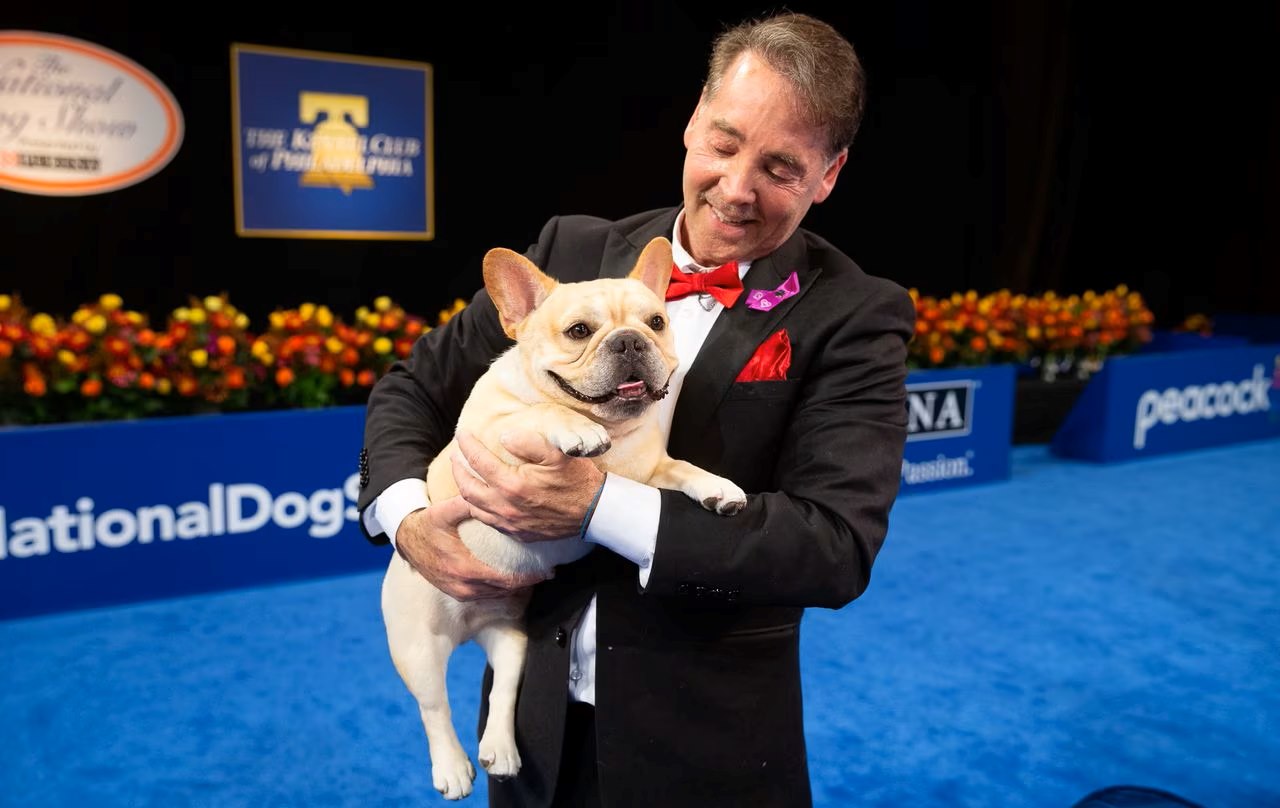 Popular dog in the United States, American Kennel Club's 2022 Rankings