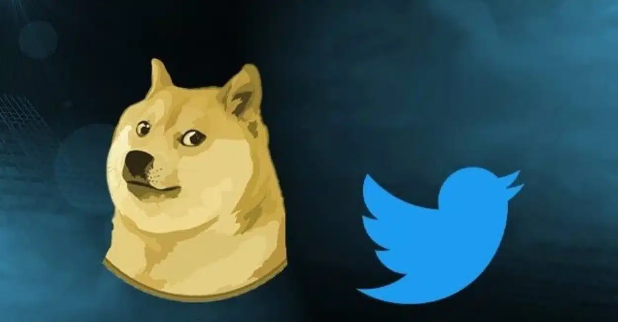 Elon Musk, Twitter logo, Dogecoin Shiba Inu, Doge, Cryptocurrency