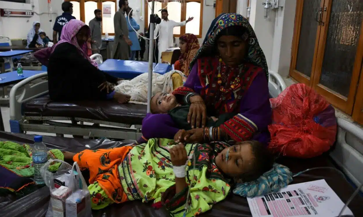 "Dadu Health Crisis", "Malaria Cases in Sindh",