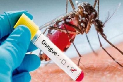 Dengue Outbreak Sindh