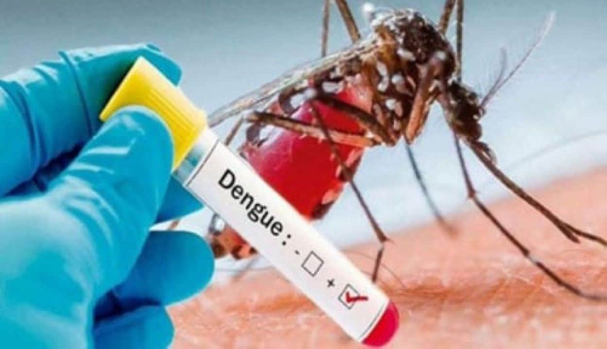 Dengue Outbreak Sindh