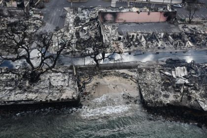 Hawaii Wildfires Investigation