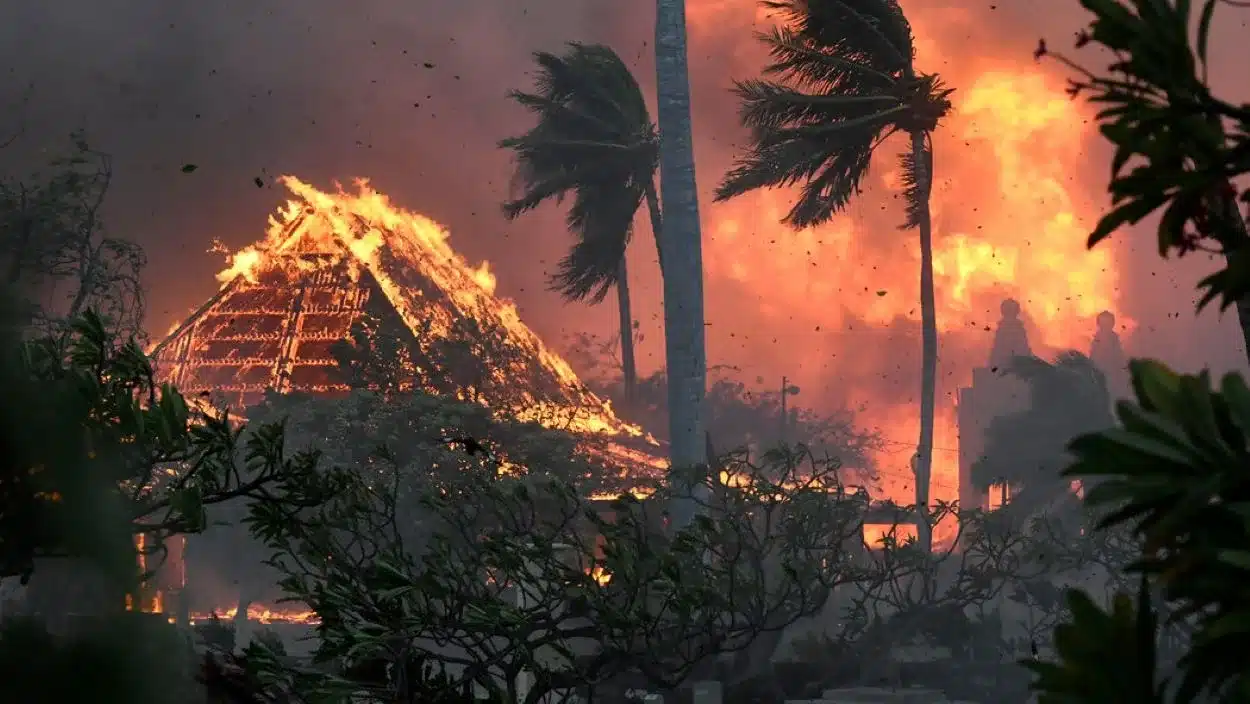 Hawaii Wildfires 2023