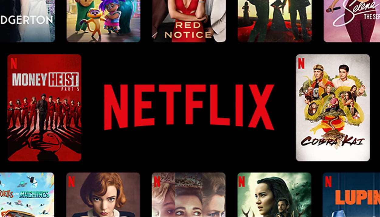 "Netflix User Guide"