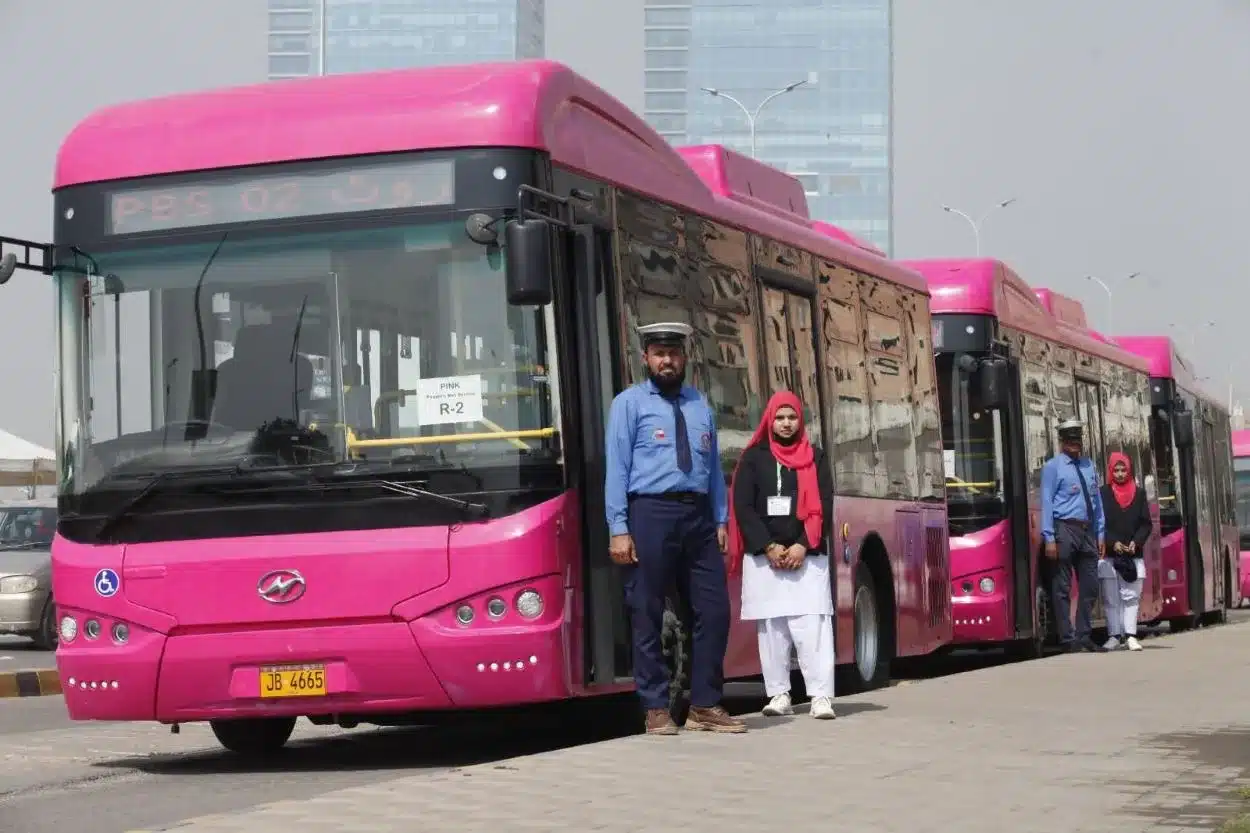 Pink Buses,