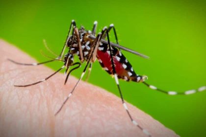 Rawalpindi Dengue Outbreak 2023