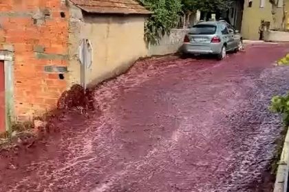 Levira Wine Flood