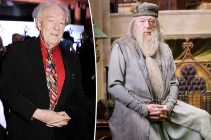 Sir Michael Gambon Dumbledore