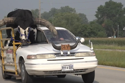 Nebraska Man Bull Car Ride