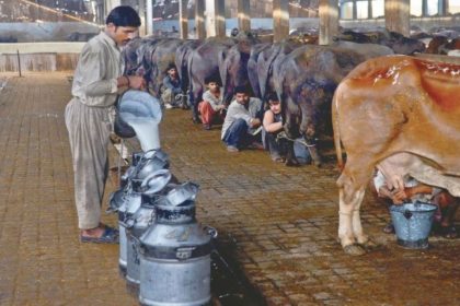 Karachi Milk Crisis