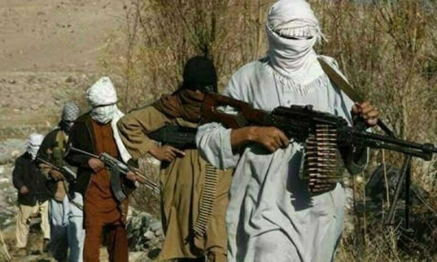 Afghan Authorities Arrest Militants