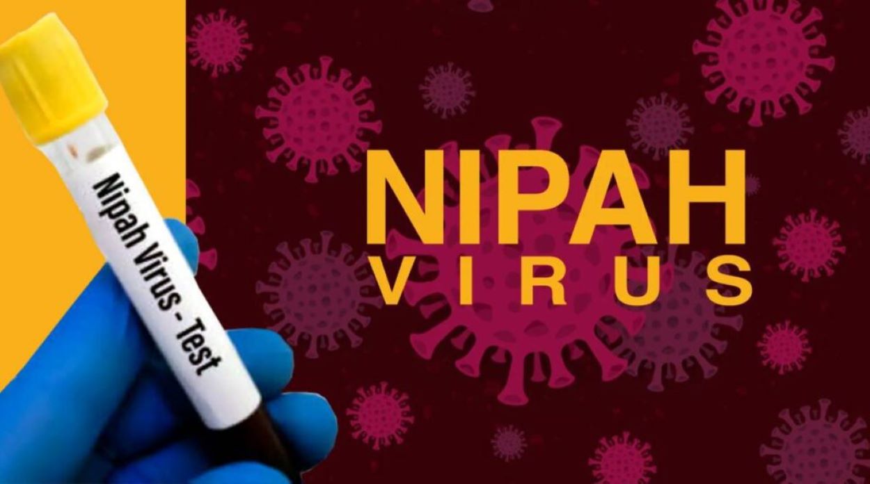 Nipah Virus Advisory Sindh