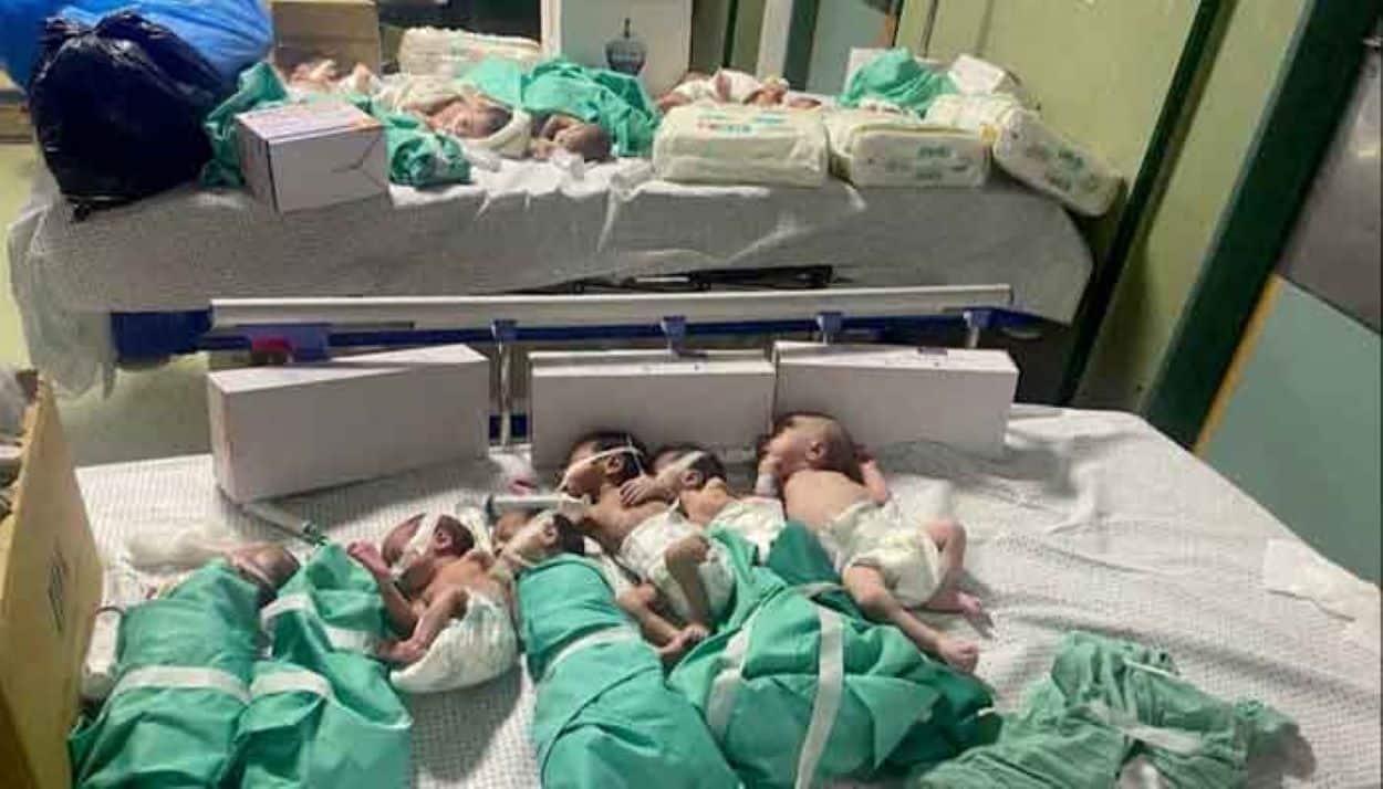 Al Shifa Hospital Newborn Crisis