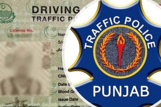 Punjab Traffic Police Issues 841,000+ Driving Licences in November 2024