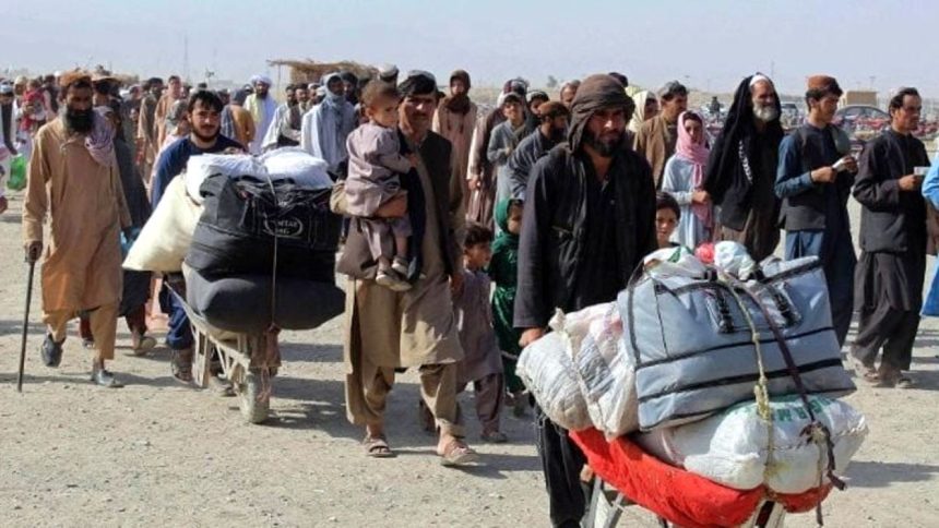 Repatriation of Illegal Afghans