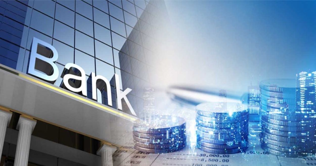 Pakistan Government Bank Borrowings