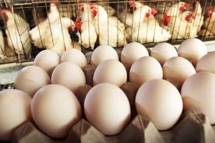 Chicken and Egg Price Hike in Pakistan