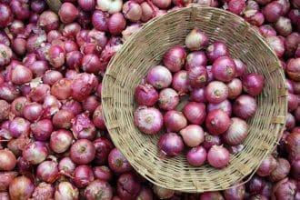 onion prices Pakistan
