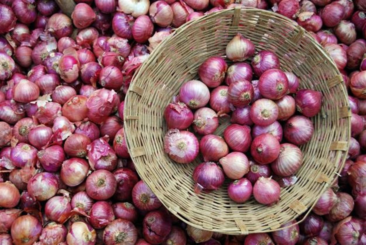 Pakistan Onion Market Prices