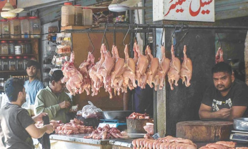 chicken prices Pakistan