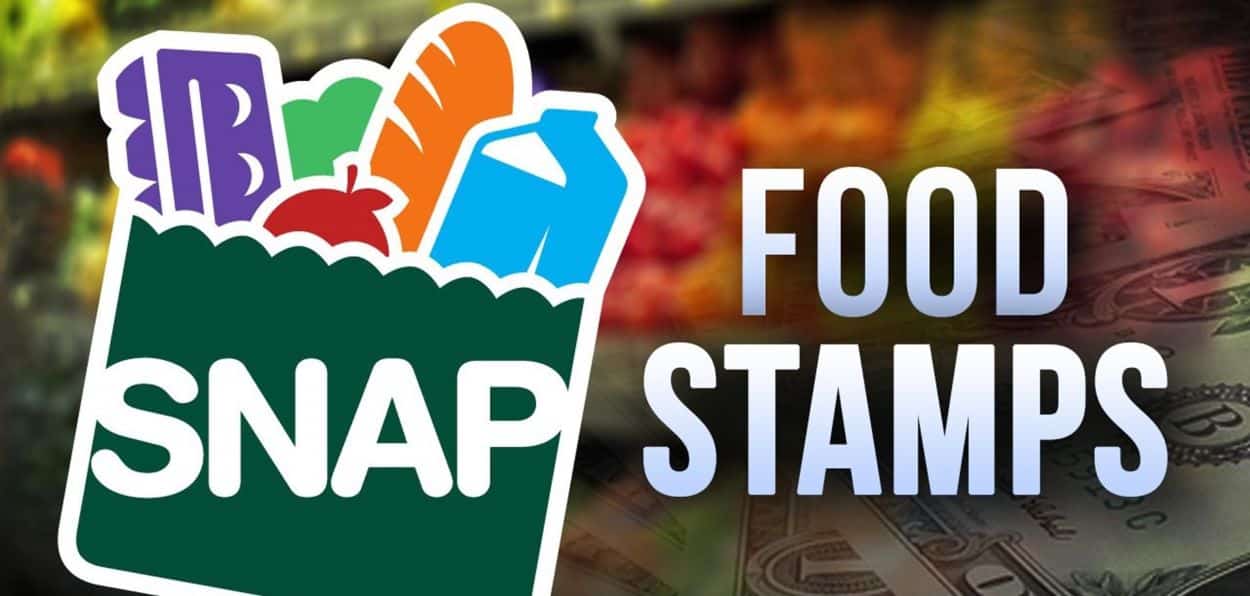 Florida SNAP Benefits 2024 Thresholds for Food Stamp Eligibility