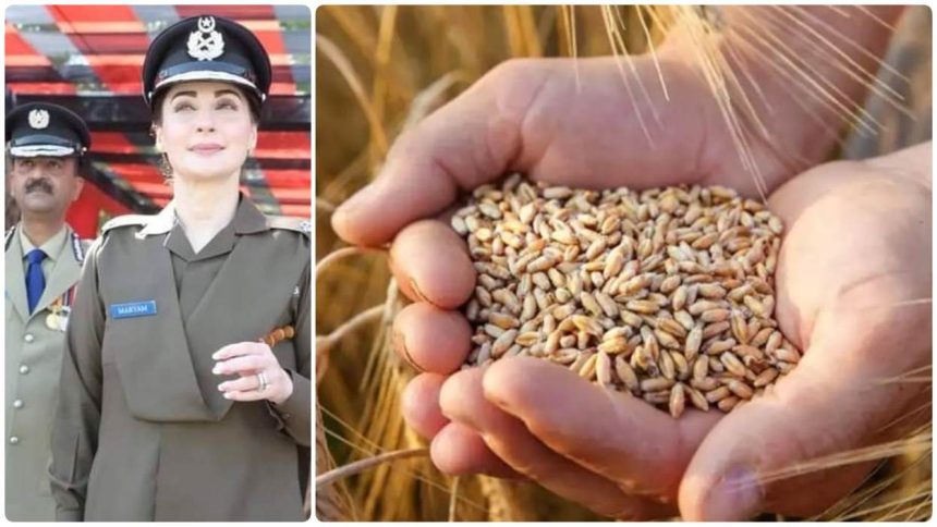 Punjab Wheat Crisis