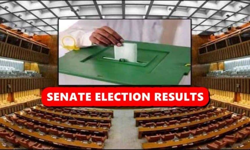 Senate Elections 2024 Pakistan Results Lacey Minnnie