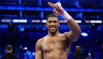 Anthony Joshua IBF Title Fight