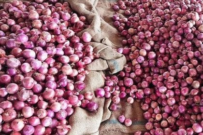 Pakistani onion exports