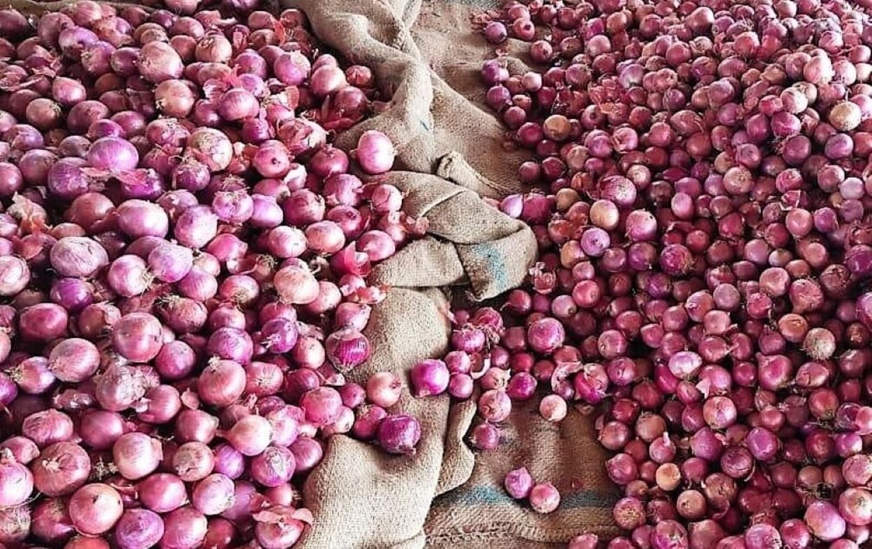 Pakistani onion exports