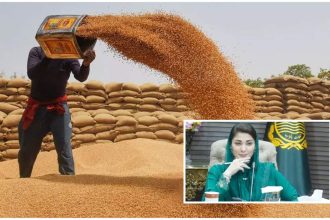 Punjab Wheat Procurement Policy