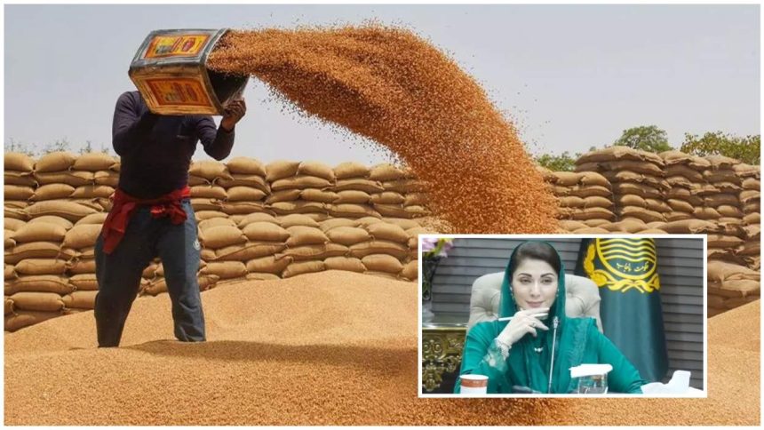 Punjab Wheat Procurement Policy