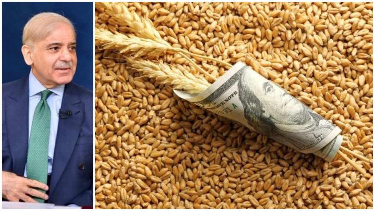Pakistan Wheat Smuggling Scandal