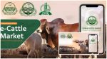 Punjab Govt's e-Cattle Market System