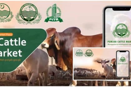 Punjab Govt's e-Cattle Market System