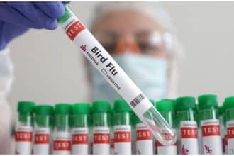 H5N2 Bird Flu in Mexico