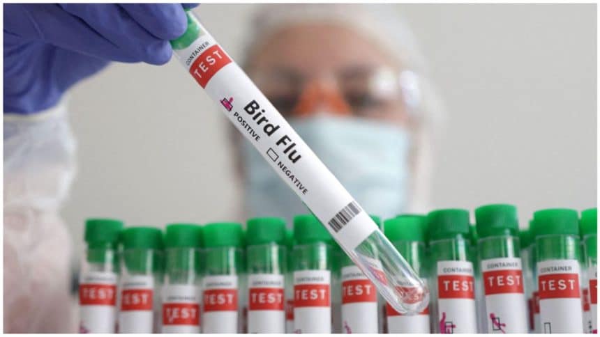 H5N2 Bird Flu in Mexico