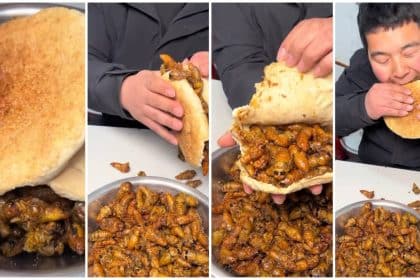 Chinese insect burger