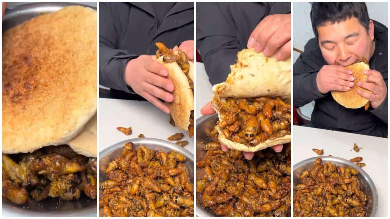 Chinese insect burger