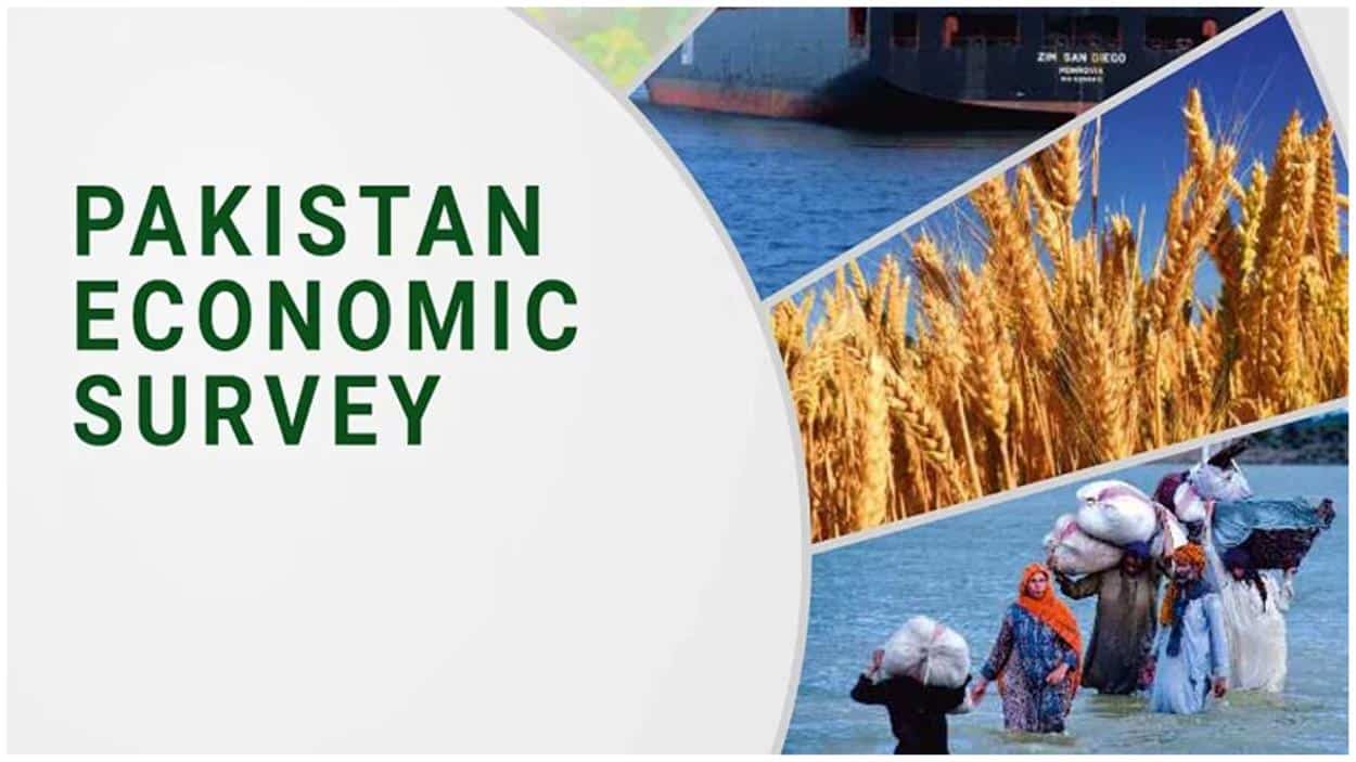 Pakistan Economic Survey 2023-24