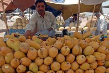 Pakistan mango crop climate change