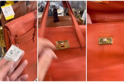 Fake Hermes Bag