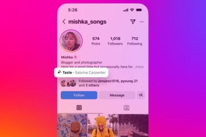 Instagram Profile Song feature