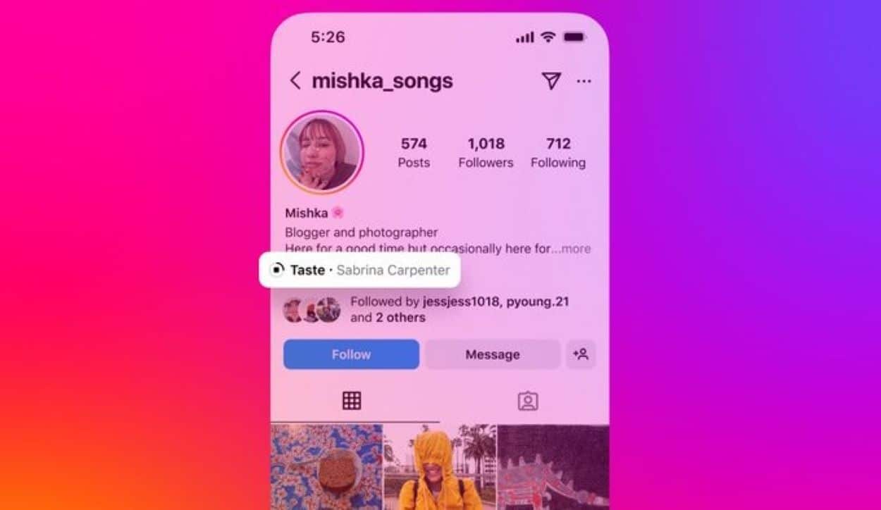 Instagram Profile Song feature