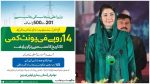 Punjab Electricity Relief Program