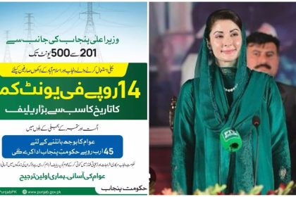 Punjab Electricity Relief Program